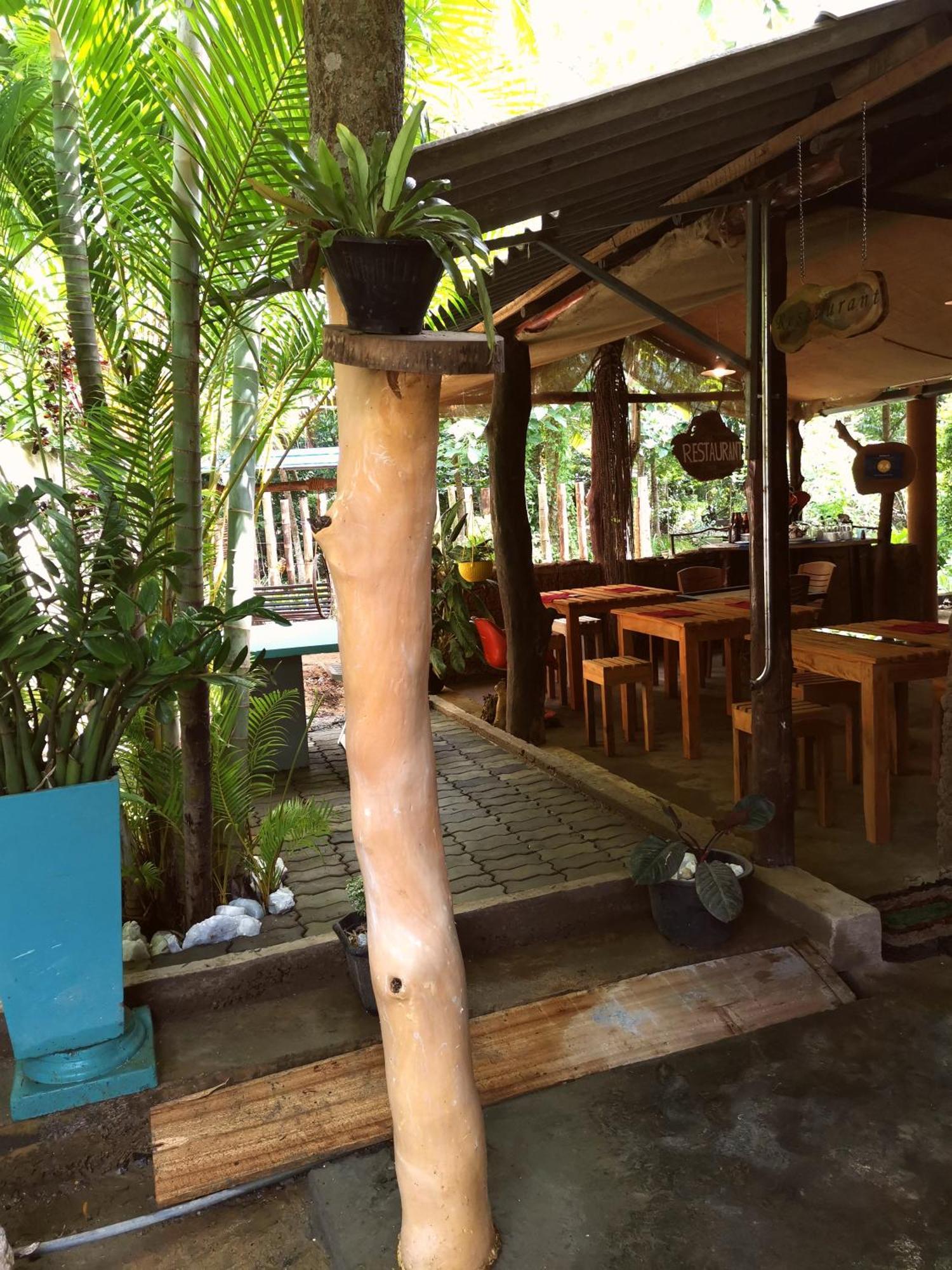 Peacock'S Paradise Safari Hostel อุดาวาลาเว ภายนอก รูปภาพ